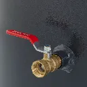 Drain valve